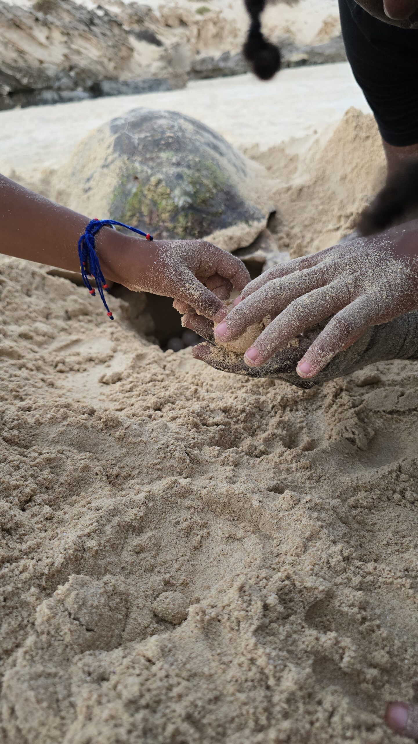 20240817_185501 scaled