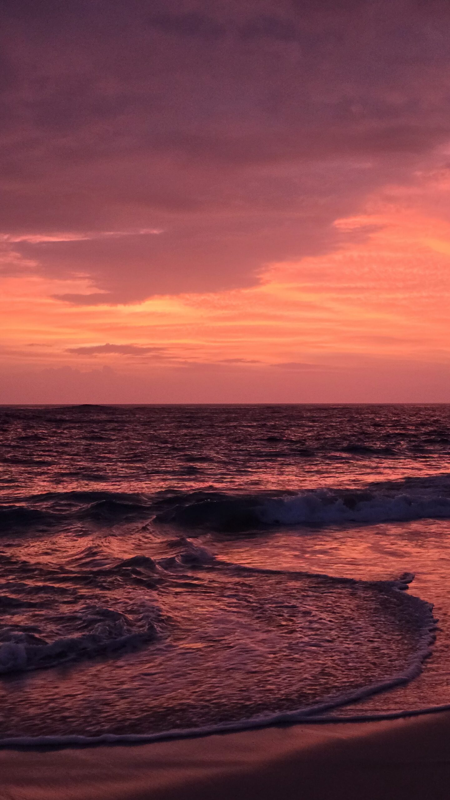 20240817_190824 scaled